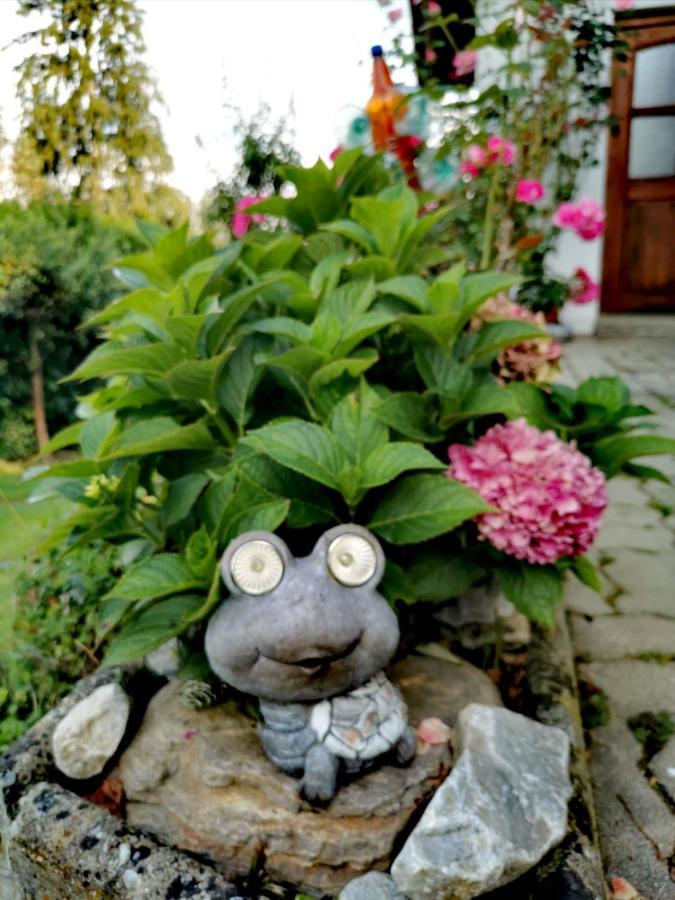 Pension Treissmann Pichling bei Stainz Eksteriør billede